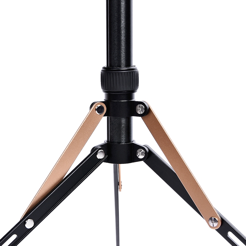 Fosoto FT-190B 2.2m Gold Led Light Tripod Stand with Bag Head Softbox  For Photographic Lighting Flash Umbrellas Reflector