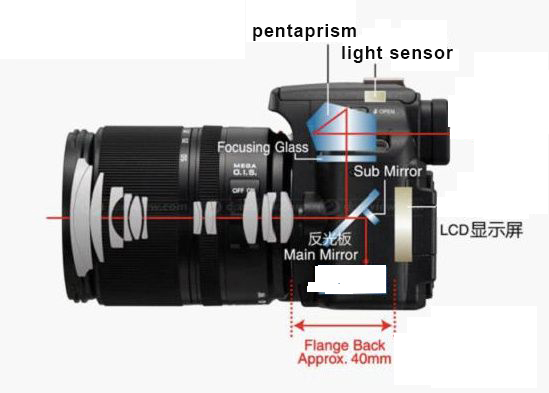 What is the difference between a DSLR and a mirrorless camera?cid=11